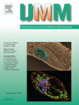 Past and present seroprevalence and disease burden estimates of Toxoplasma gondii infections in Germany: an appreciation of the role of serodiagnostics