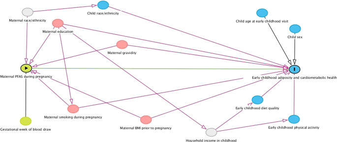Prenatal exposure to per- and polyfluoroalkyl substances and early childhood adiposity and cardiometabolic health in the Healthy Start study
