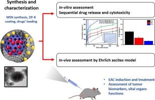 In-vitro and in-vivo assessment of pH-responsive core–shell nanocarrier system for sequential delivery of methotrexate and 5-fluorouracil for the treatment of breast cancer