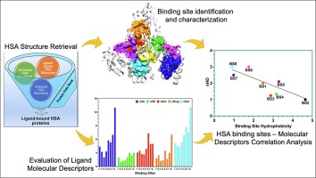 Multi-cavity molecular descriptor interconnections: Enhanced protocol for prediction of serum albumin drug binding