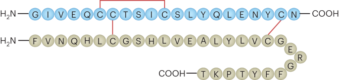 Insulin investigations