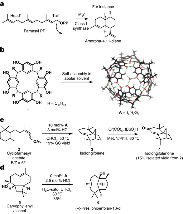 Biomimetic tail-to-head terpene cyclizations using the resorcin[4]arene capsule catalyst
