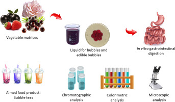 Edible bubbles: A delivery system for enhanced bioaccessibility of phenolic compounds in red fruits and edible flowers