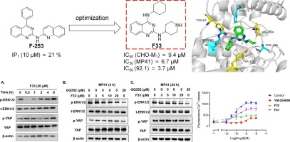 Design, synthesis and evaluation of quinazoline derivatives as Gαq/11 proteins inhibitors against uveal melanoma