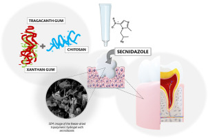 Evaluation of the impact of tragacanth/xanthan gum interpolymer complexation with chitosan on pharmaceutical performance of gels with secnidazole as potential periodontal treatment
