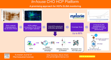 In-house CHO HCPs platform: A promising approach for HCPs ELISA monitoring