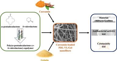 Herbal active ingredient-loaded poly(ω-pentadecalactone-co-δ-valerolactone)/gelatin nanofibrous membranes