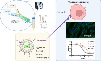 Rapid liposomal formulation for nucleolin targeting to rhabdomyosarcoma cells